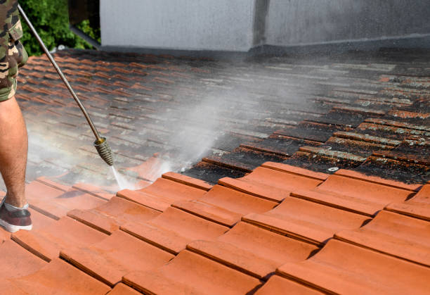 Best Power Washing Near Me  in Lexington, TN