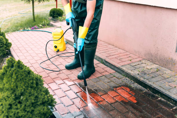 Best Pressure Washing Contractors  in Lexington, TN