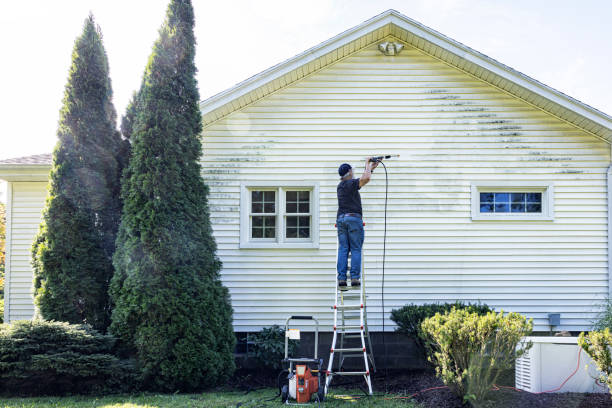 Best Pressure Washing Brick  in Lexington, TN