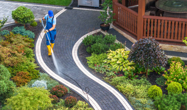 Best Affordable Power Washing  in Lexington, TN