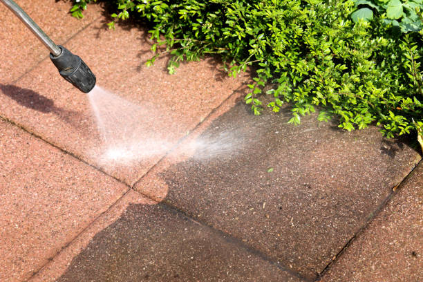 Best Affordable Power Washing  in Lexington, TN